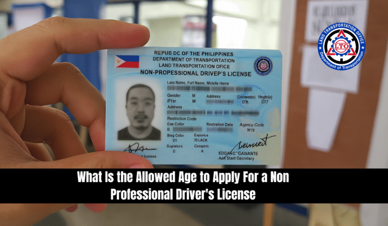 Age to Apply For a Non Professional Driver's License
