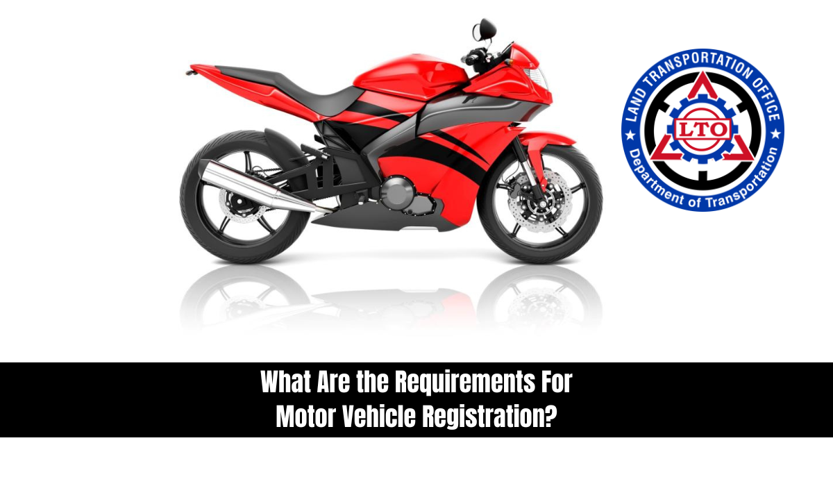 What Are the Requirements For Motor Vehicle Registration?