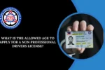 Allowed Age To Apply For A NON Professional Drivers License