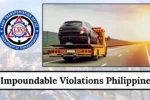 Impoundable Violations