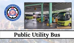 Public Utility Bus