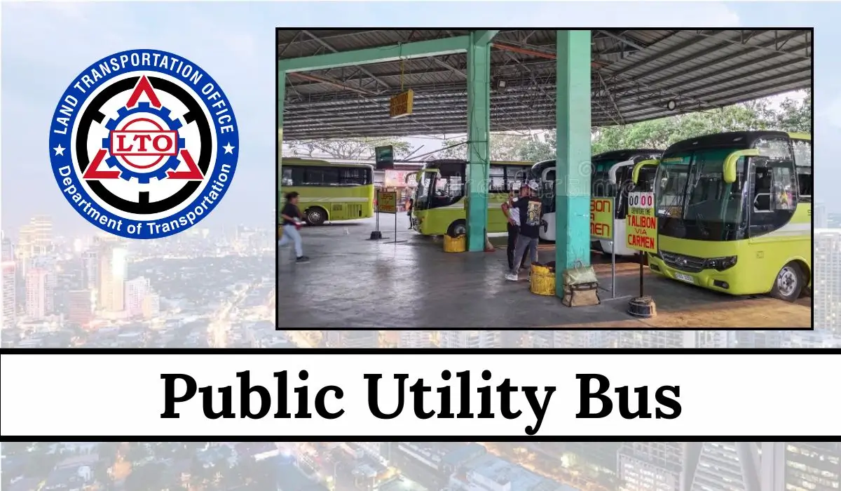 Public Utility Bus